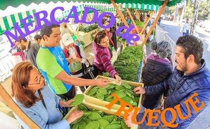 Mercado de Trueque en Iztacalco; ¿qué es y cómo funciona?