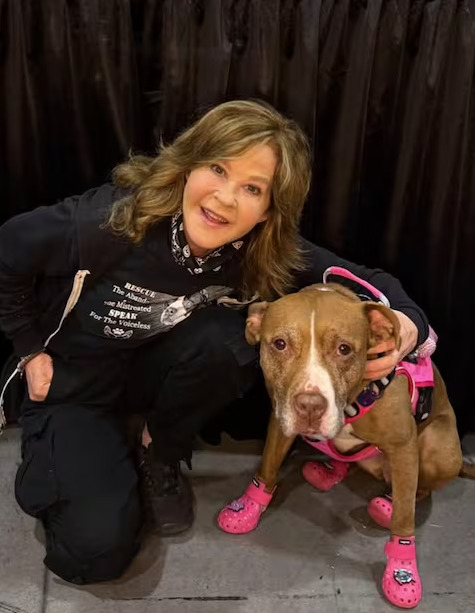 Linda Blair