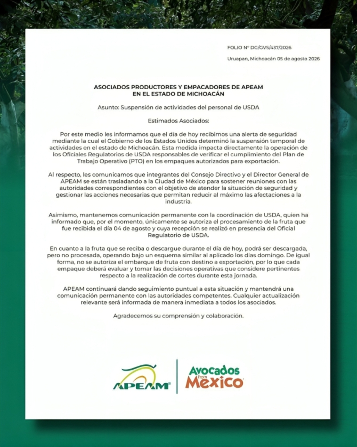 Comercio