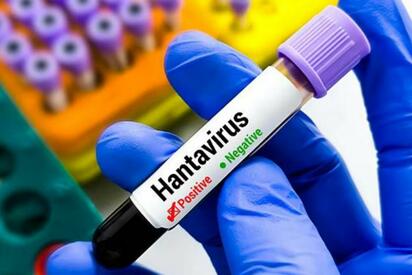 Francia confirma caso de hantavirus en turista aislado en España