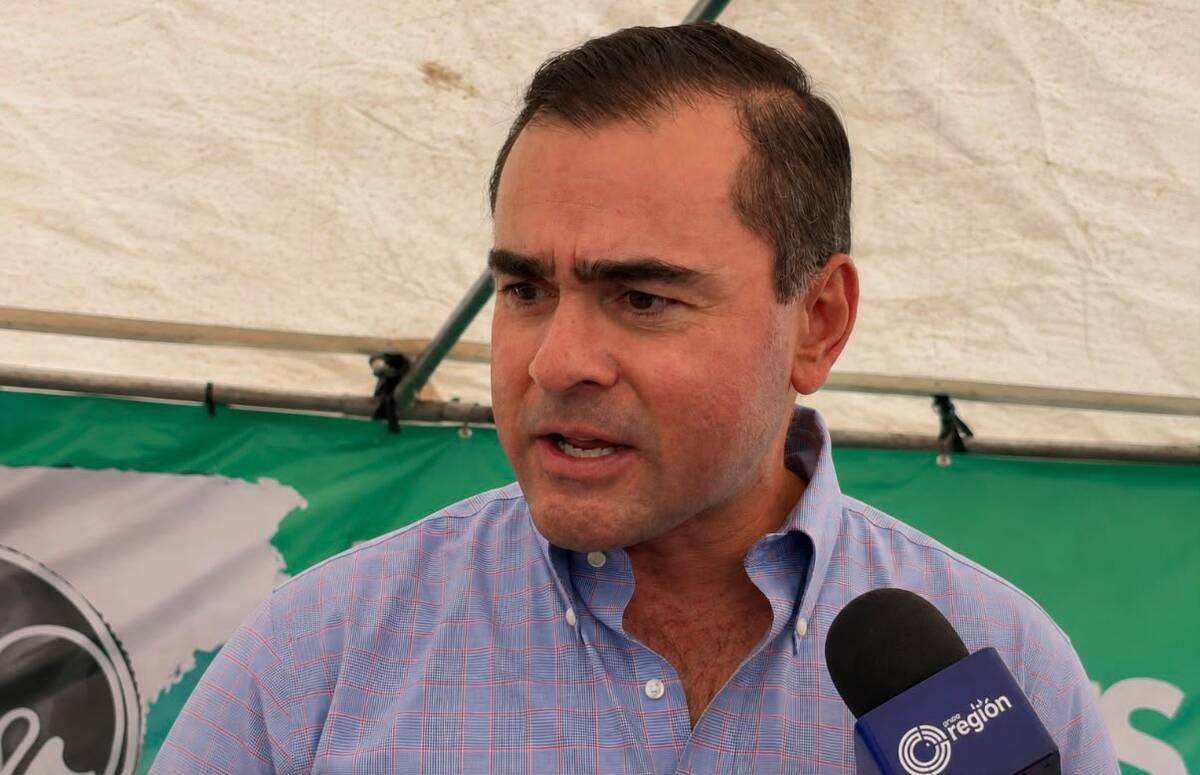 INVERSIONES Entre cuatro y seis empresas analizan instalarse en la Región Carbonífera y esperan la conclusión de nuevas naves industriales para definir inversiones