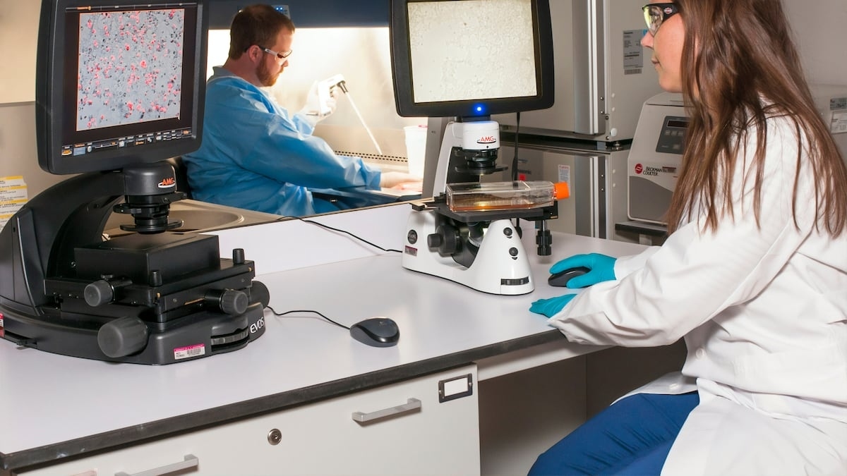 Una prueba de sangre puede detectar Alzheimer, pero en México cuesta 20 mil pesos