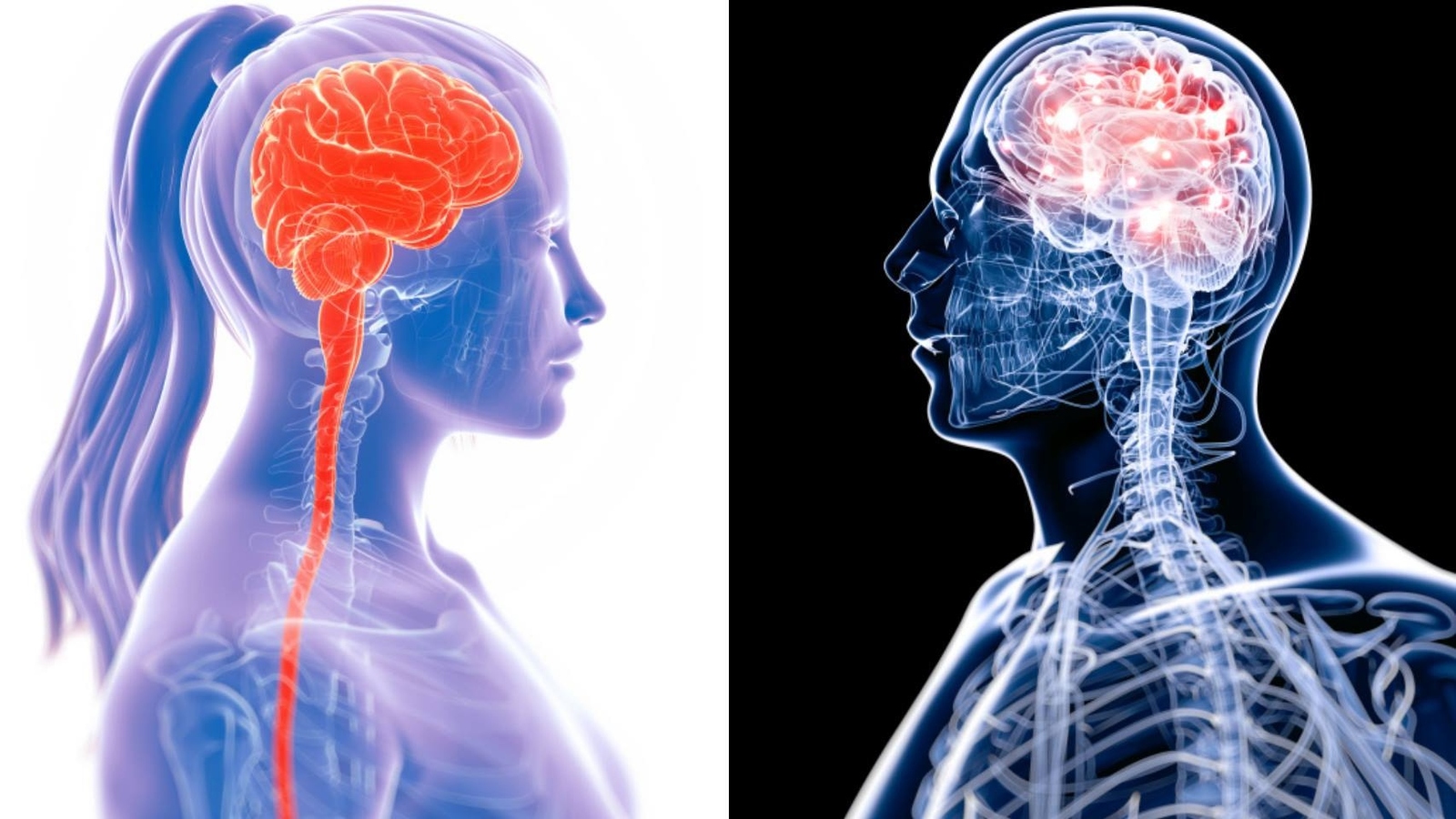 ¿Qué sucede realmente con el cerebro después de la muerte? La respuesta científica es mucho más compleja que algunas afirmaciones que circulan en internet.