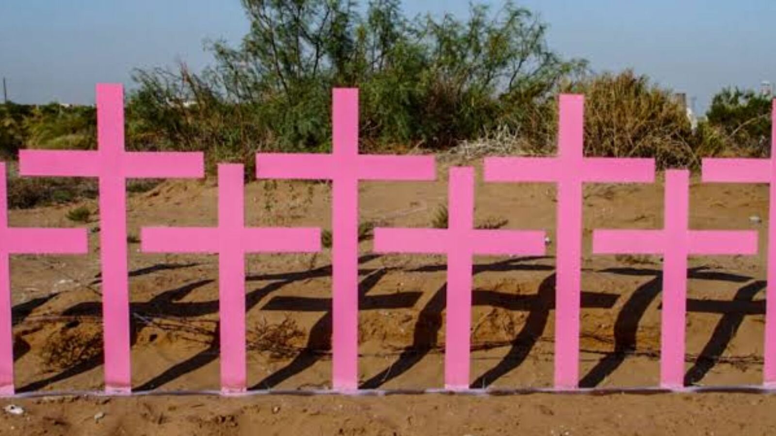 feminicidio feminicidio