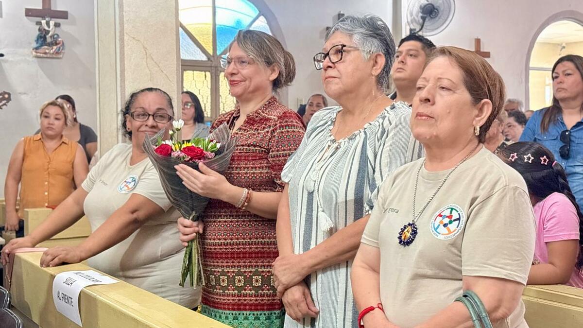 colectivos