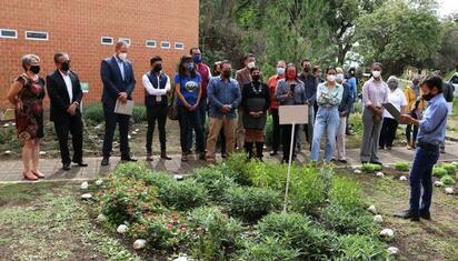 Jardin Hidalgo se convierte en espacio polinizador en Coyoacán