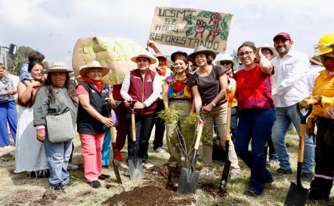 Plantan 35 mil árboles e CDMX durante jornada de reforestación