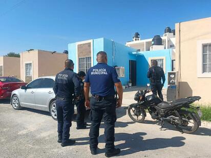 Denuncian grave caso de maltrato animal en Frontera; Dueños dejan morir a perrita y que otros perros la devoren
