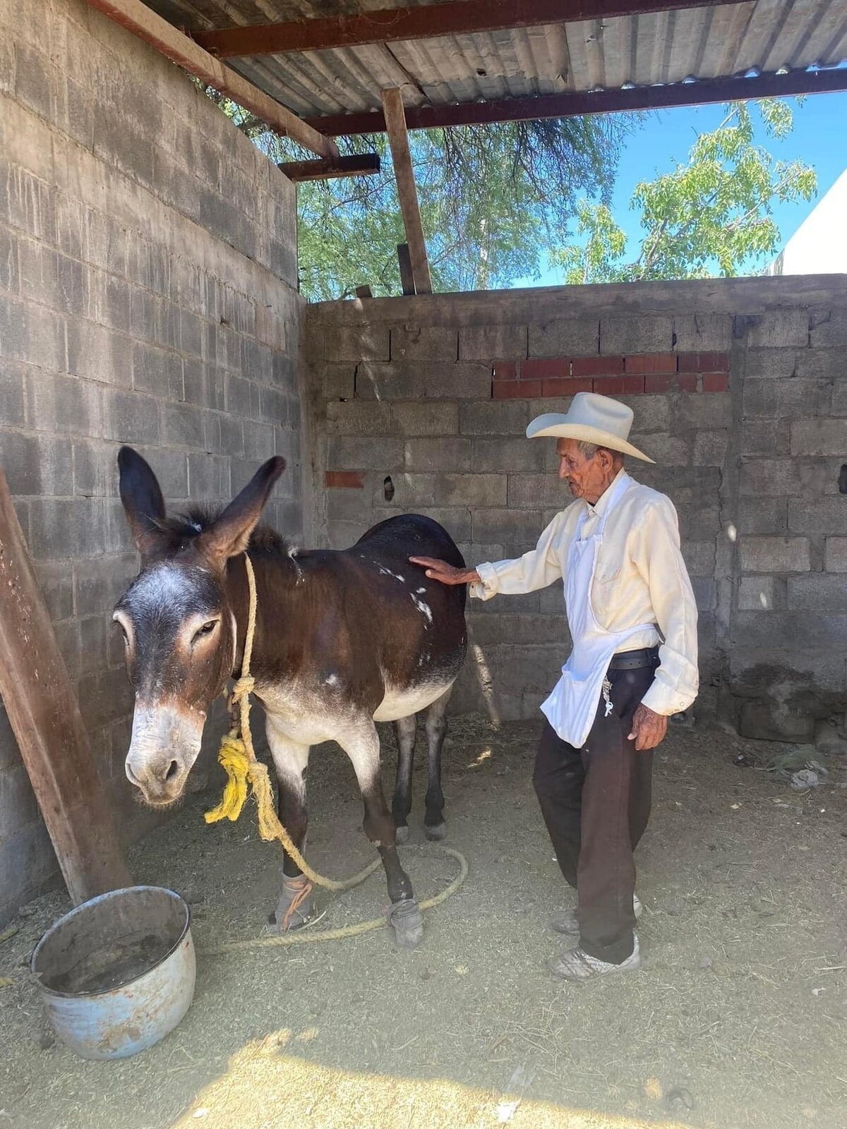 El Tío