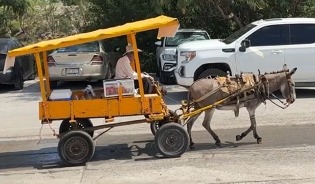 El Tío