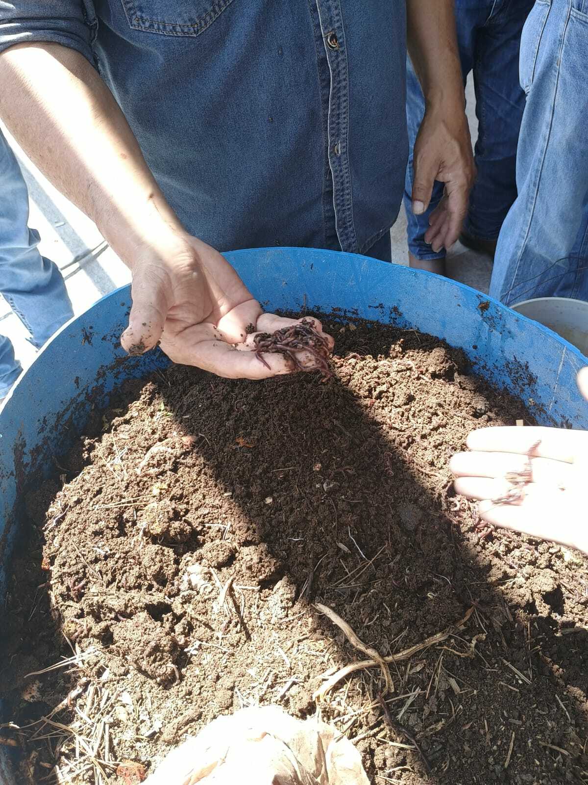desarrollo rural