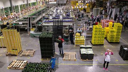 México registra caída de 12.1% en superávit agroalimentario