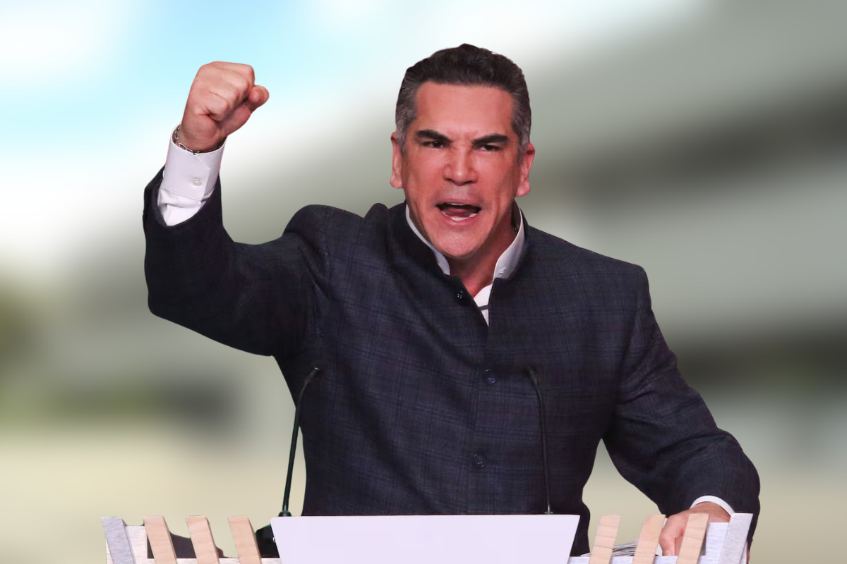 política política