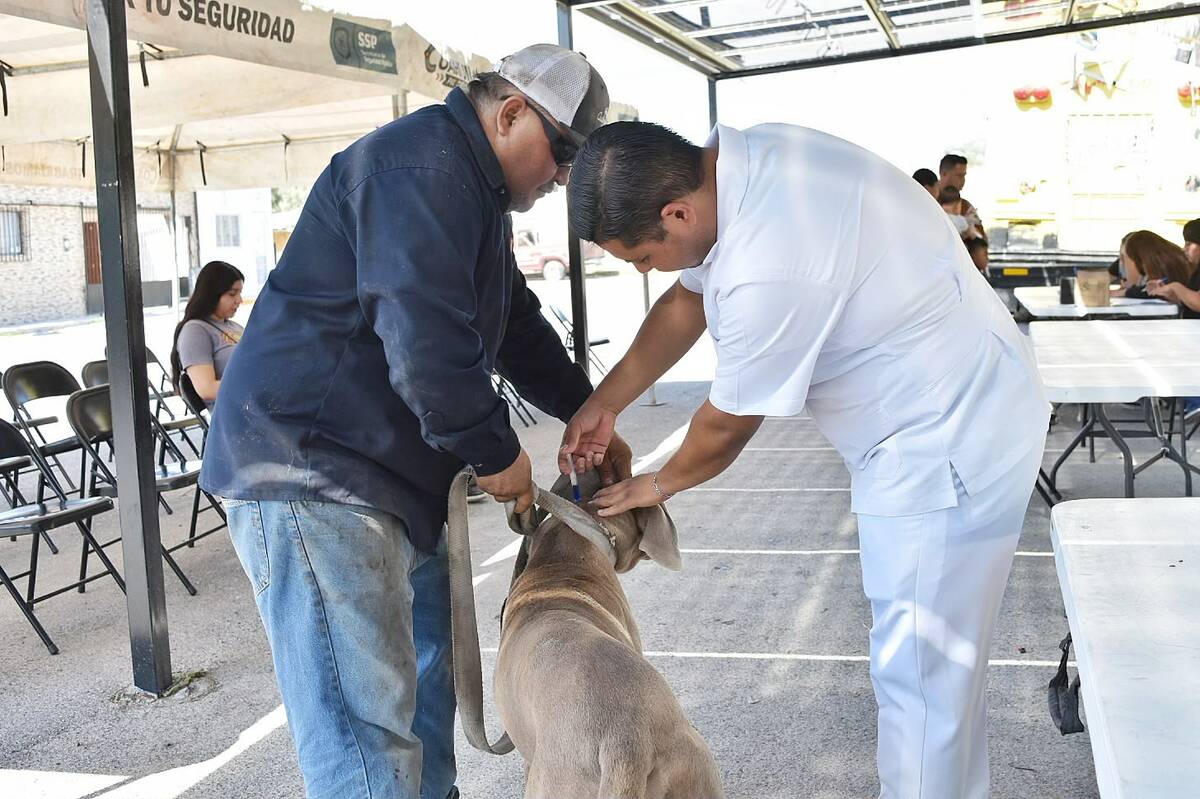 Víctor Leija Vega