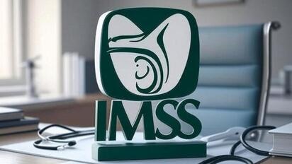 El IMSS reportó 22.7 millones de puestos de trabajo al cierre de julio, con predominio del empleo permanente y un salario promedio histórico.  Al 31 de julio