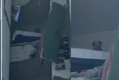 Video: Kiara sobrevivió 24 horas atrapada tras terremoto en Colombia