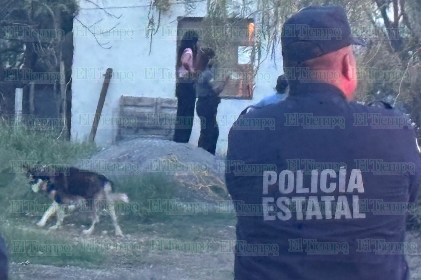 seguridad