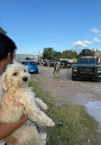 Cateo termina con un detenido y 63 perros rescatados en Castaños