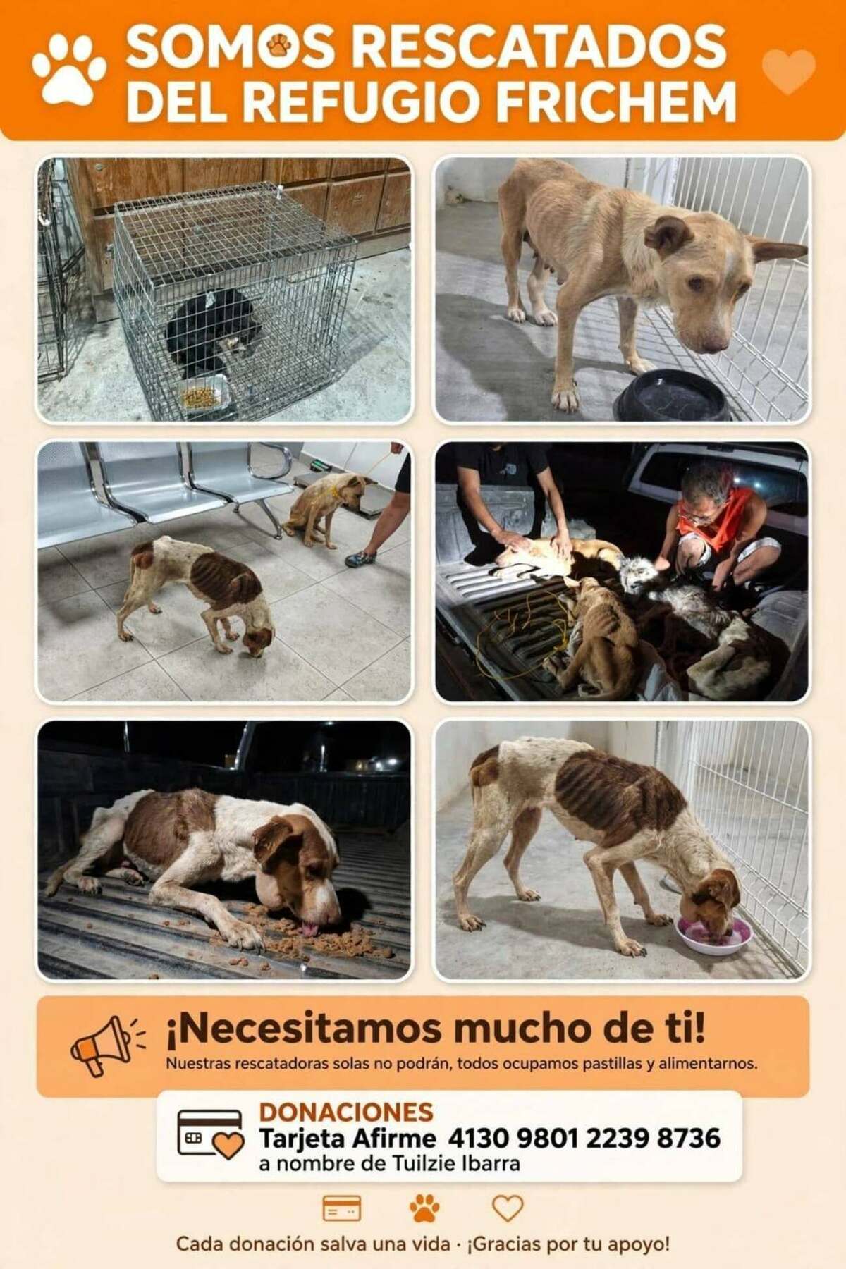 Apoyo