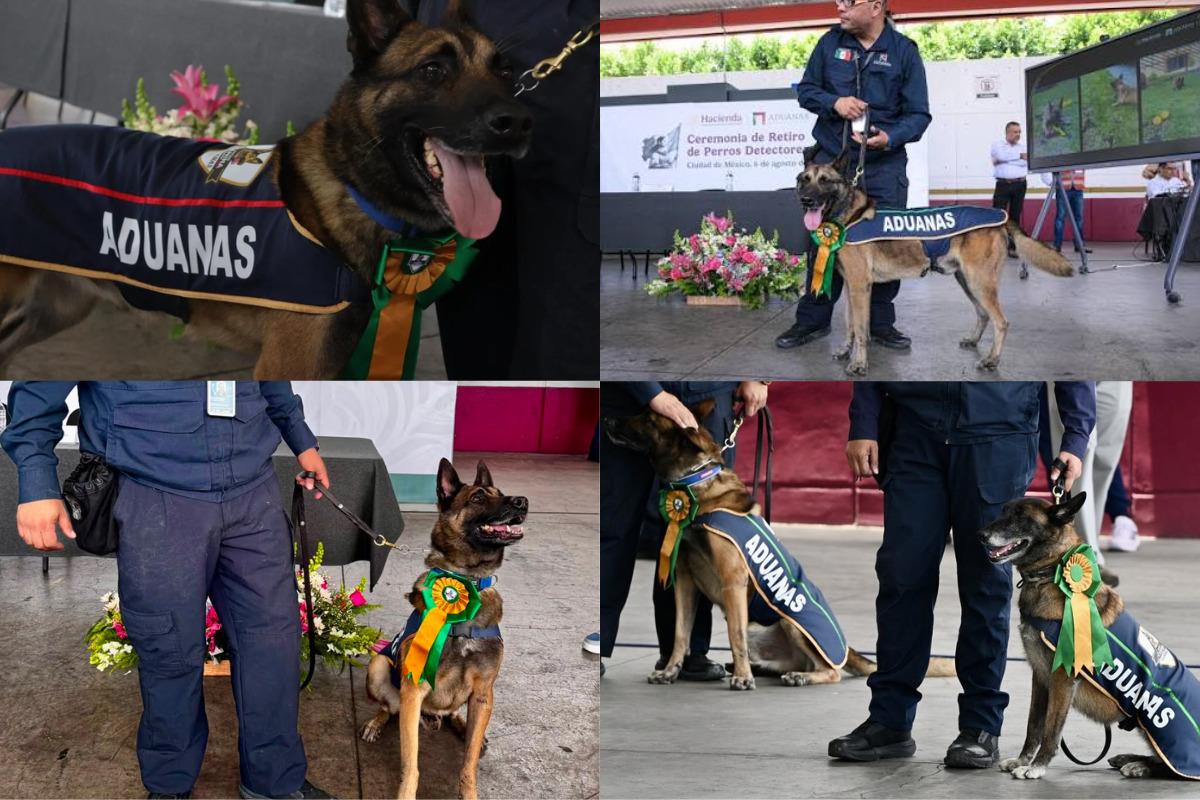 Jubilan a cuatro perros detectores tras siete años de servicio