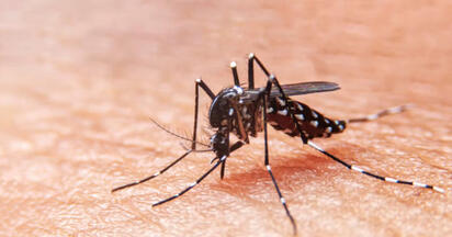 Dengue cobra vida de trabajador del IMSS en Villa de Agujita