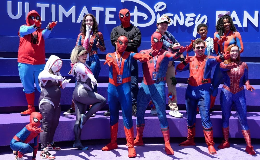 D23