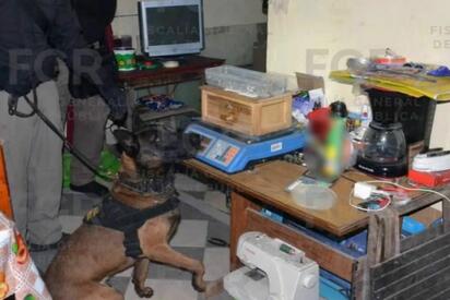 Un operativo de la FGR en Progreso, Yucatán, dejó tres detenidos y el aseguramiento de 166 bolsas con una sustancia sólida cristalina, además de otros objetos.