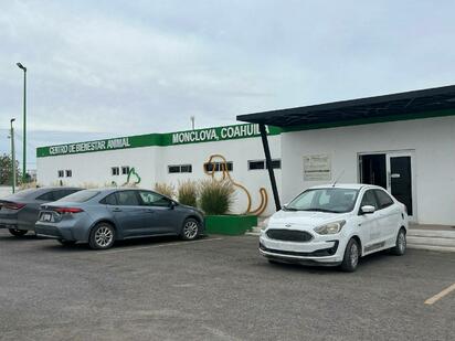Centro de Bienestar Animal ofrece Bravecto para proteger a perros contra pulgas y garrapatas