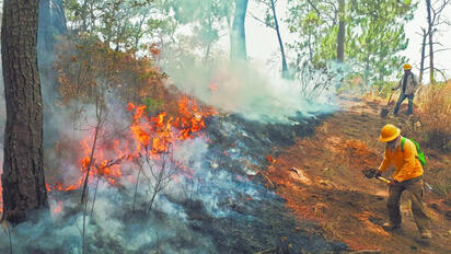 Científicos mexicanos usan IA para predecir incendios forestales en el Parque Nacional El Tepozteco