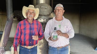  El destilado de Zapalinamé busca nuevo mercado