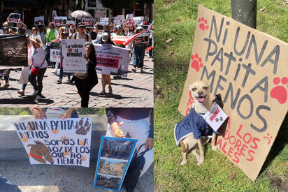 “Ni una patita menos”: así fue la marcha contra el maltrato animal