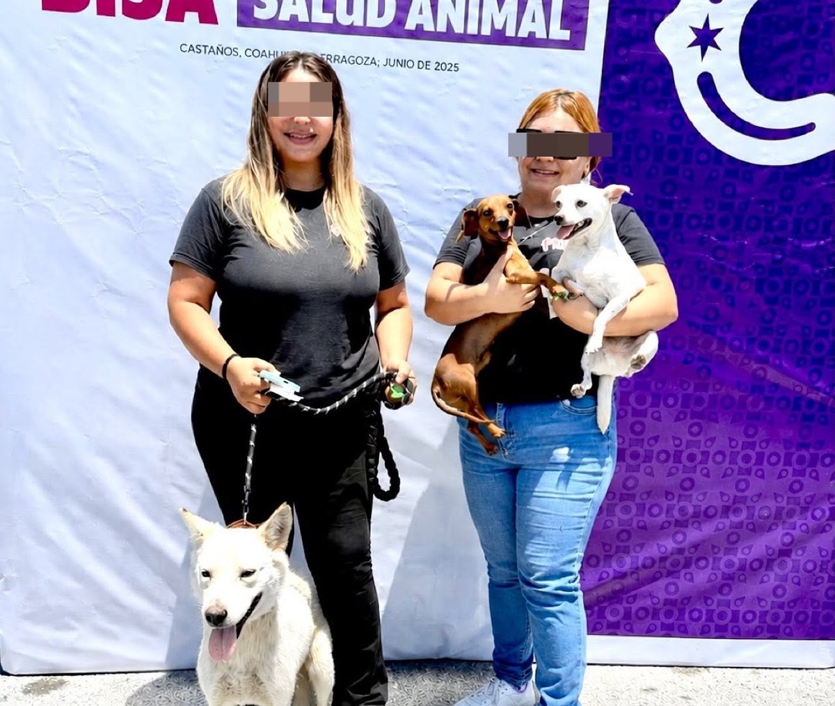 maltrato animal