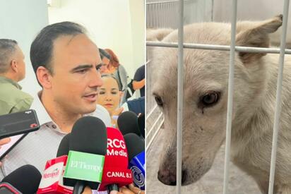 Coahuila prepara nueva ley para fortalecer atención al maltrato animal
