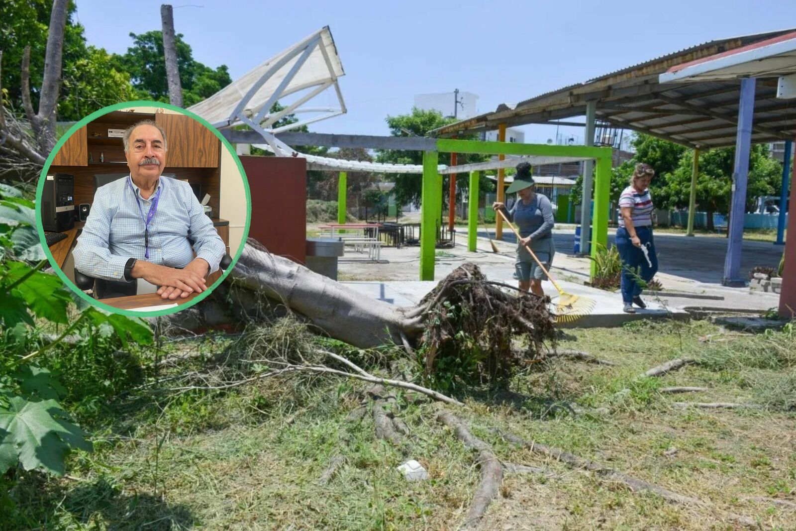 Fumigación Fumigación