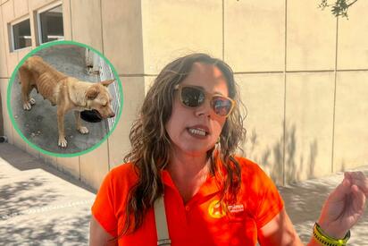 Respecto al video difundido por Lizbeth N antes de su detención, la presidenta de Milma señaló que desconoce cuál fue el propósito de la publicación