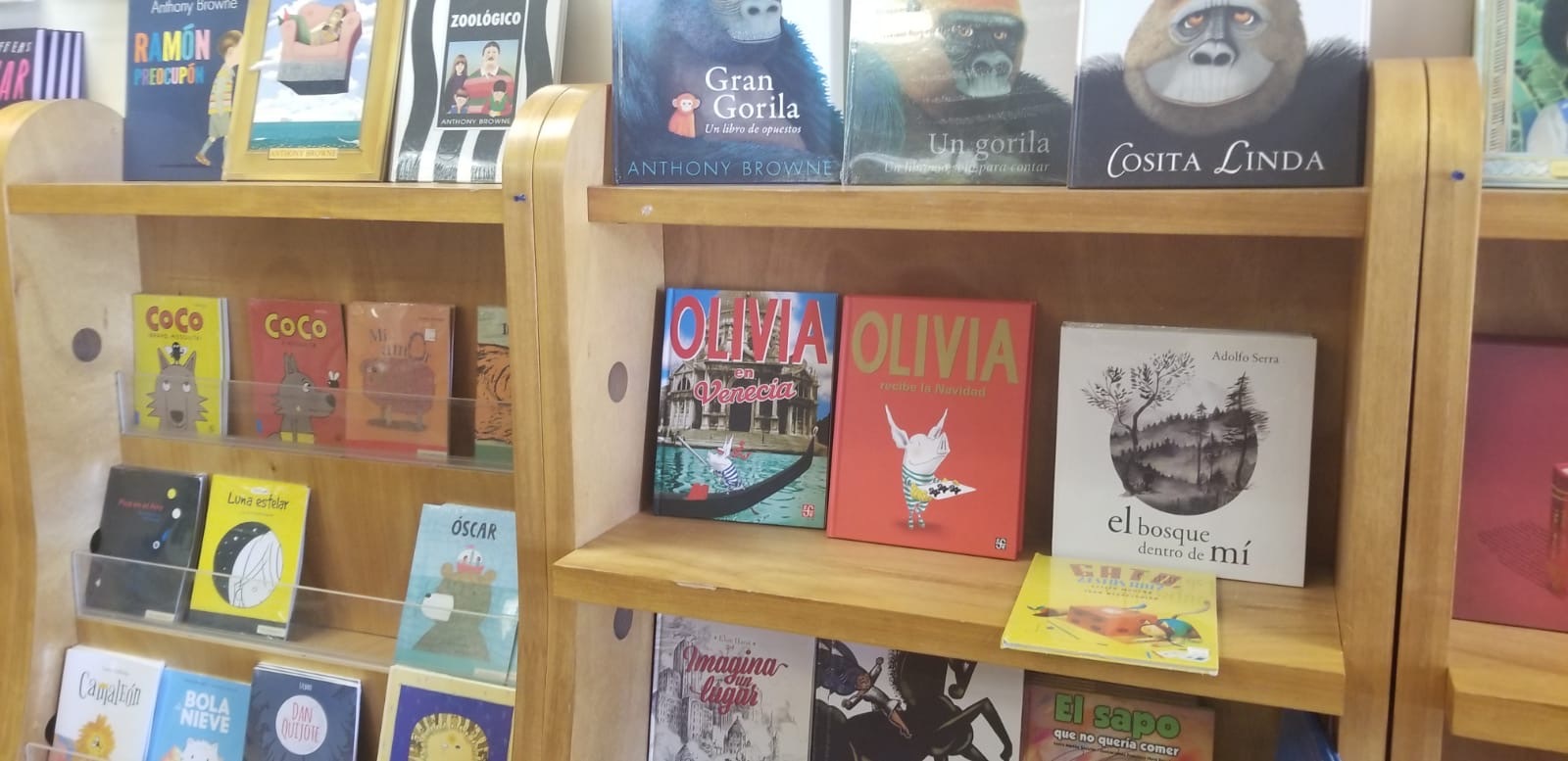 Librería: Inició recientemente el proceso de transición para adoptar la nueva denominación y esquema de operación. Librería: Inició recientemente el proceso de transición para adoptar la nueva denominación y esquema de operación.