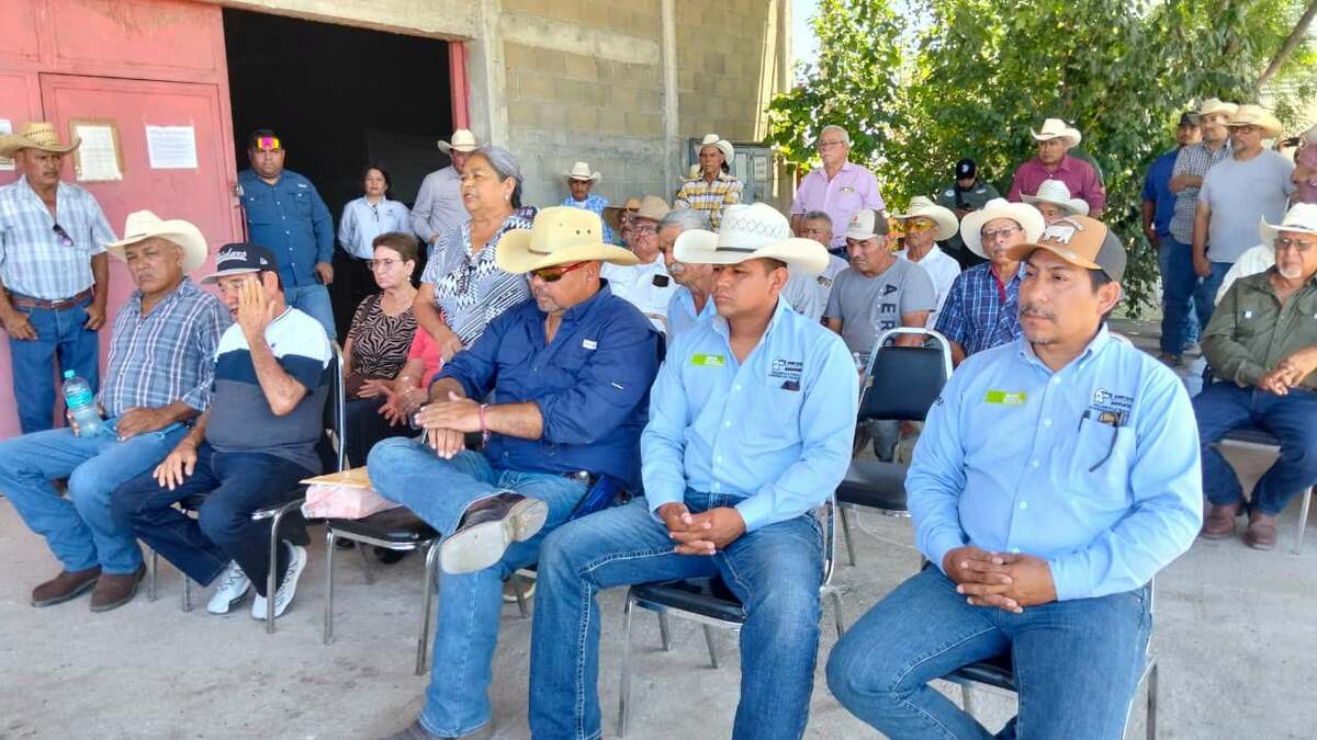 Ganadería