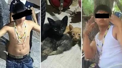 Juez impone resguardo domiciliario y brazalete electrónico a menor señalado por la muerte de gatitos en Acuña