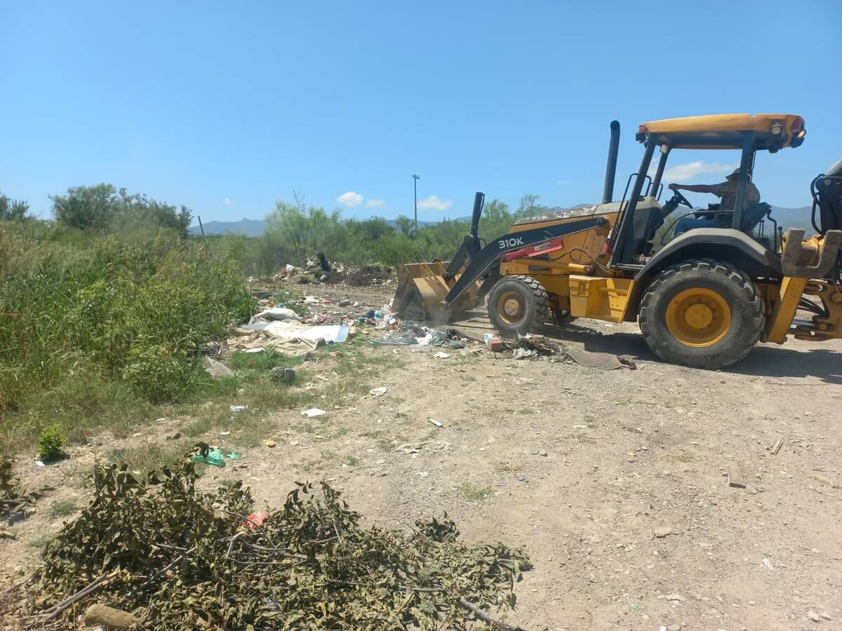 Ecología
