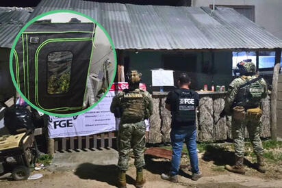 Encuentran narcoinvernaderos y un arsenal durante operativo en Quintana Roo