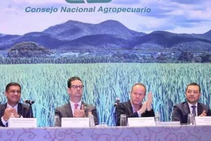 El Consejo Nacional Agropecuario respaldó el llamado de Claudia Sheinbaum a priorizar a México y pidió congruencia, diálogo y coordinación entre sectores.