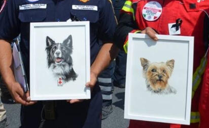 Athos y Tango: los perros rescatistas cuyo envenenamiento llegó hasta los tribunales