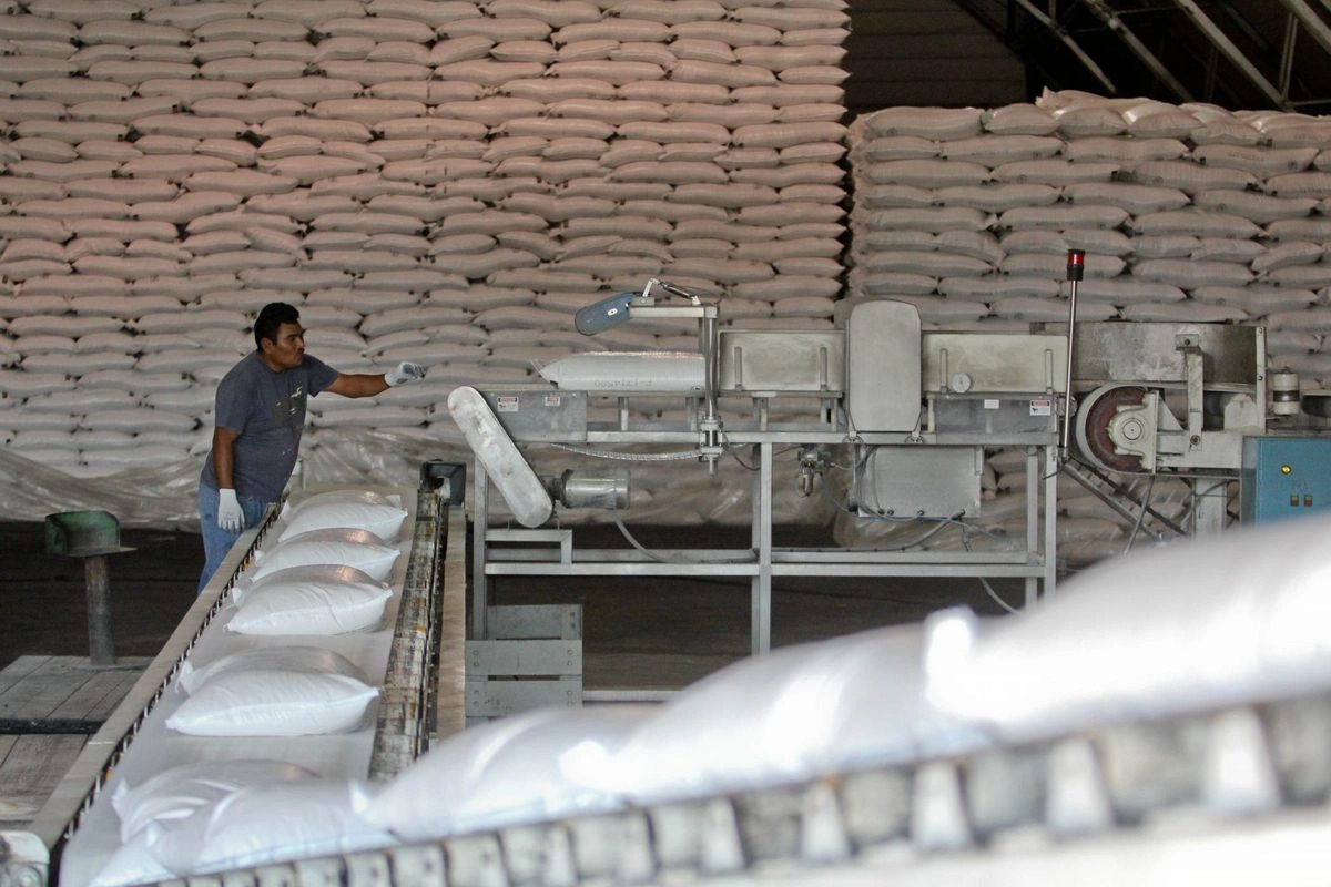 México enfrenta excedente de azúcar y busca ampliar exportaciones