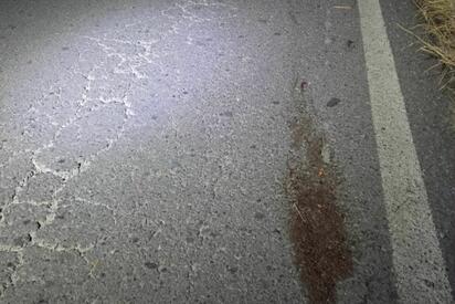 Mueren dos ciclistas tras ser arrollados en la carretera a Monclova-Candela