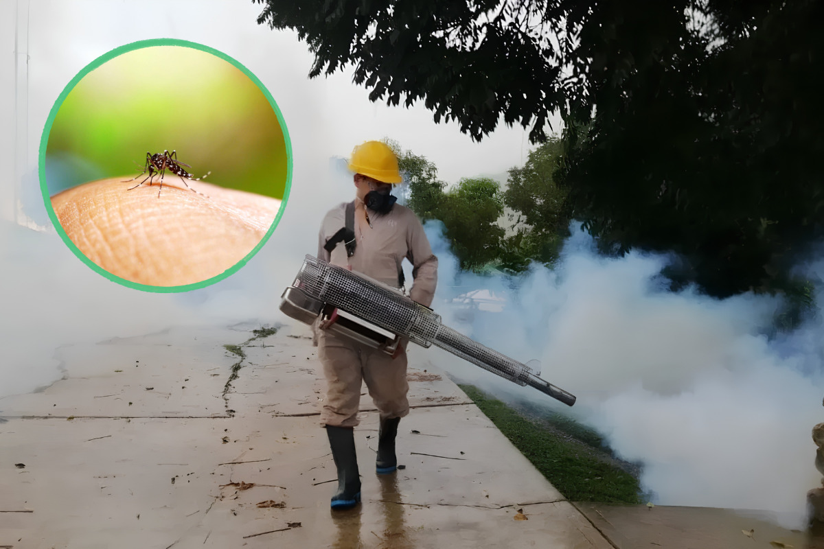 De miles a solo 22: Dengue en Guerrero cae de forma histórica