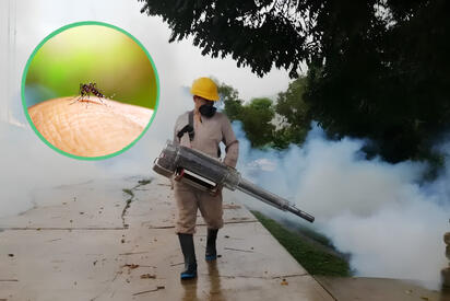 De miles a solo 22: Dengue en Guerrero cae de forma histórica