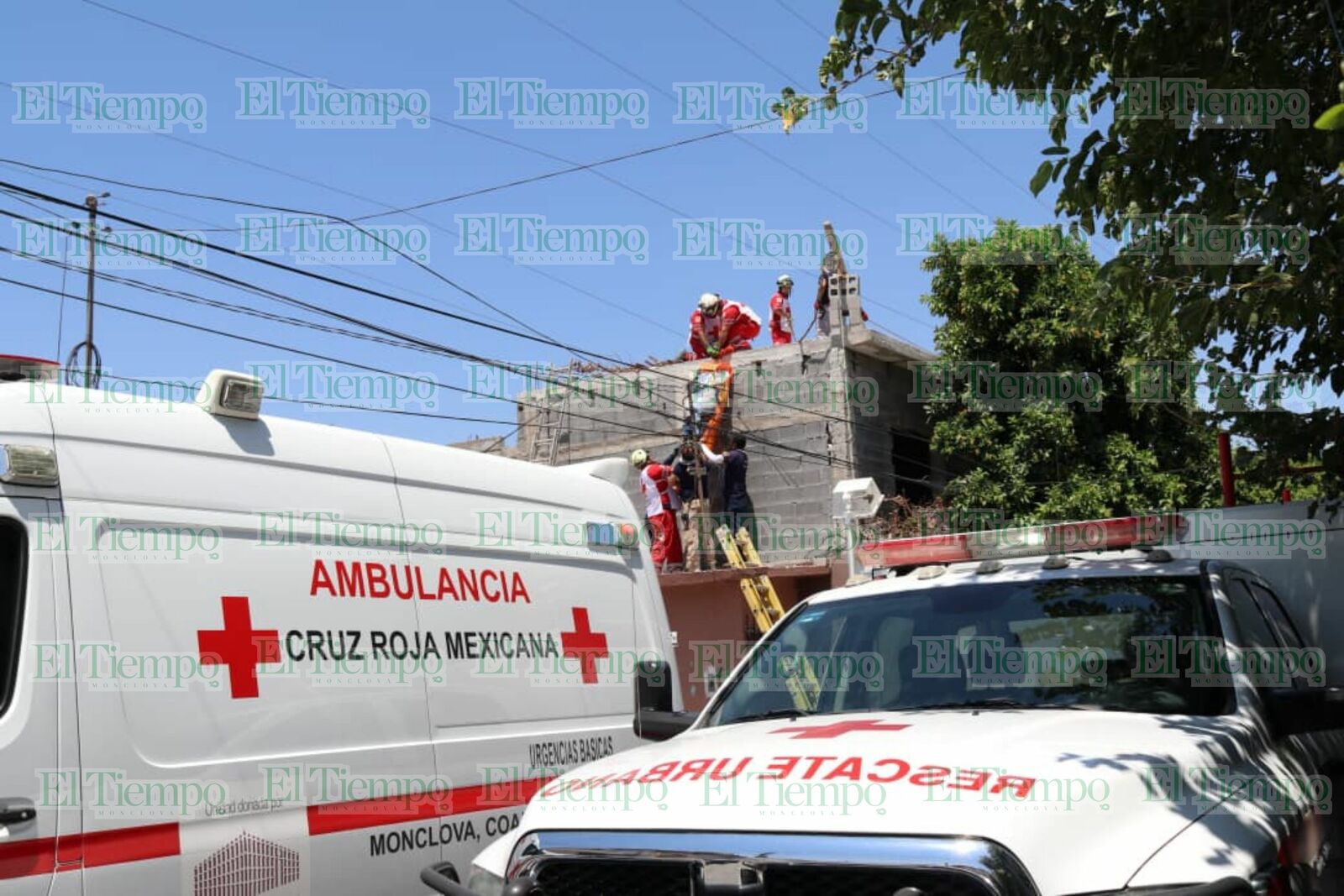 Seguridad