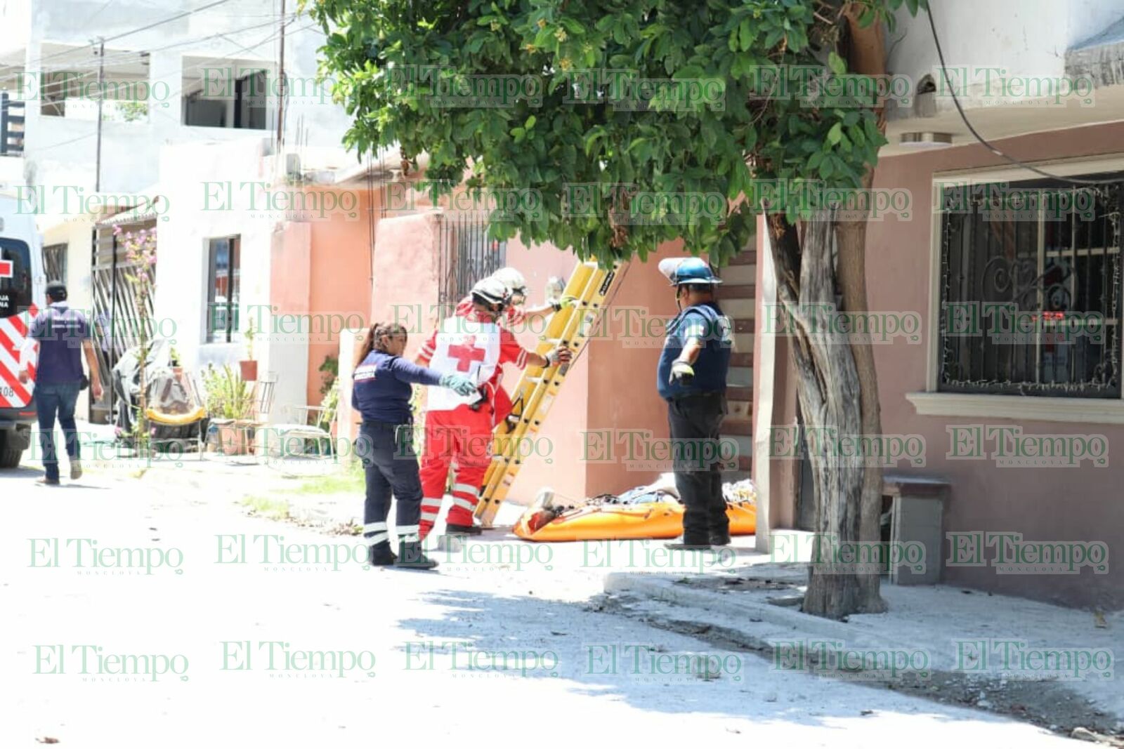 Seguridad