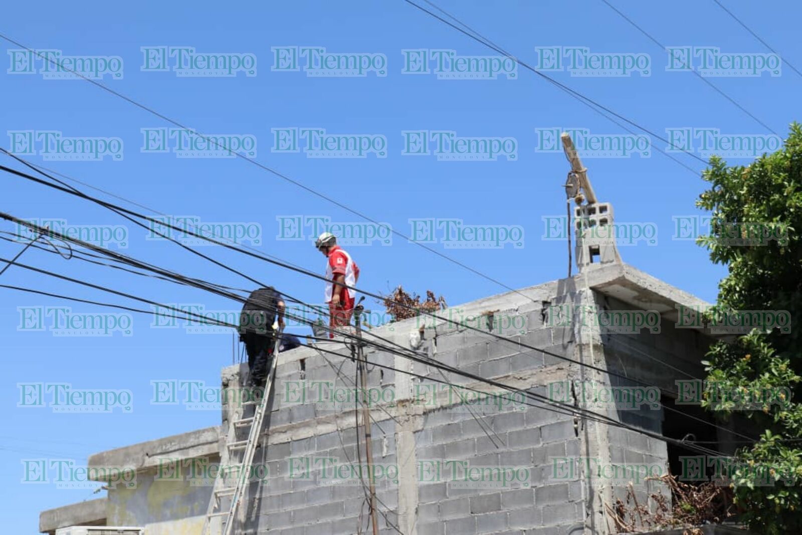 Seguridad