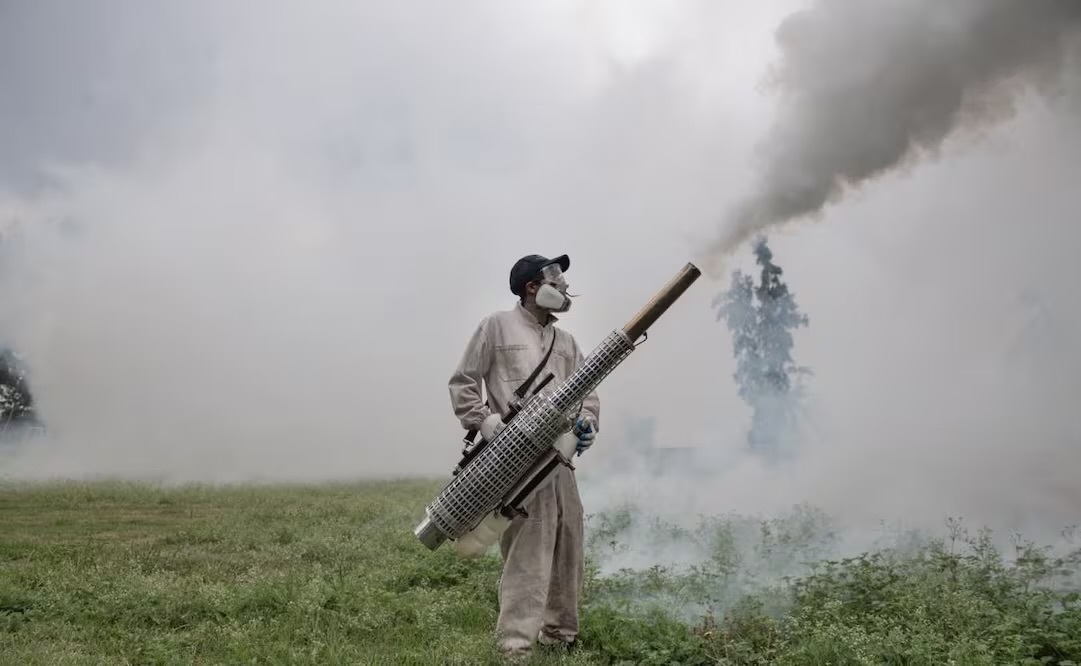 Previo al regreso a clases, fumigan 40 escuelas en Tepetitlán